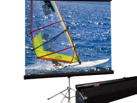 Draper 215012 Heavy-Duty Tripod Projection Screen w Carpeted Case - AV (60 x60 ) Online now