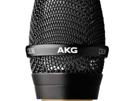 AKG C636 WL1 Master Reference Condenser Vocal Microphone Head For Sale