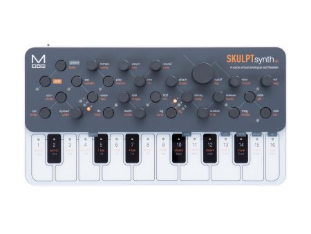 Modal Electronics SKULPT SE 4 Voice Virtual-Analogue Synthesizer Online Hot Sale