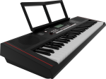 Roland E-X10 Arranger Keyboard Online Sale